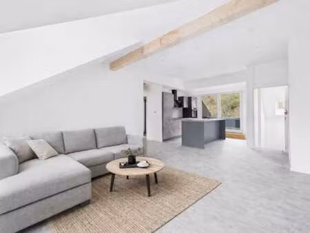 immeuble: 5 lots en cours de rénovation avec permis et plans