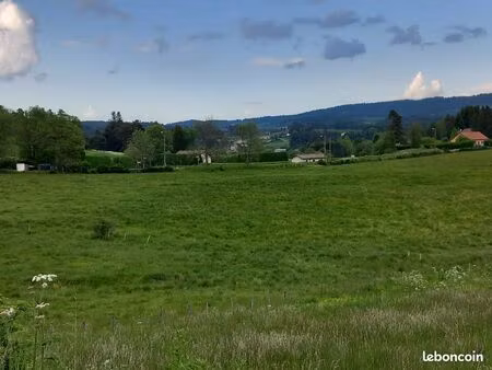 magnifique terrain constructible et viabilisé de 3110 m² (fournols)