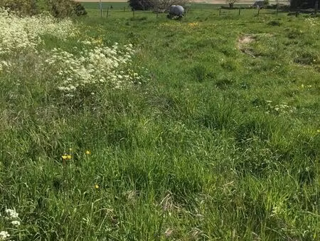 terrain 1224 m² servins