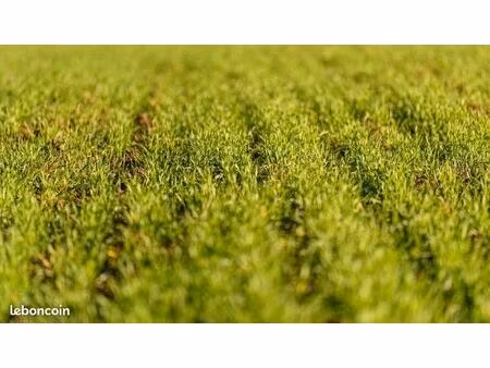 terrain non constructible