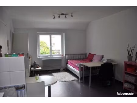 studio meuble hyper centre atypique - serenite - calme sur jardin arboré « la campagne à l