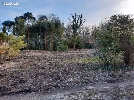 terrain 1 356 m² gradignan