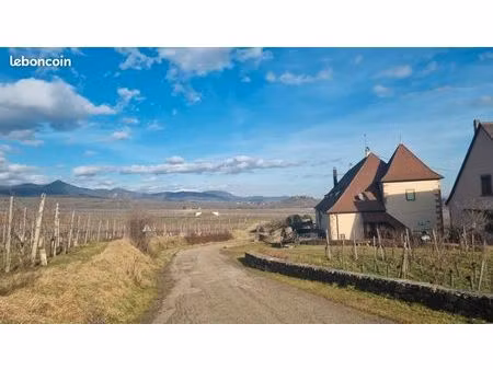 alsacien recherche terrain constructible sur route des vins secteur turckheim -ribeauvillé