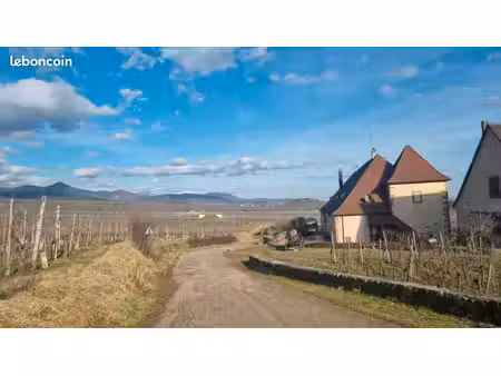 couple de retraités recherche terrain constructible sur route des vins secteur turckheim -