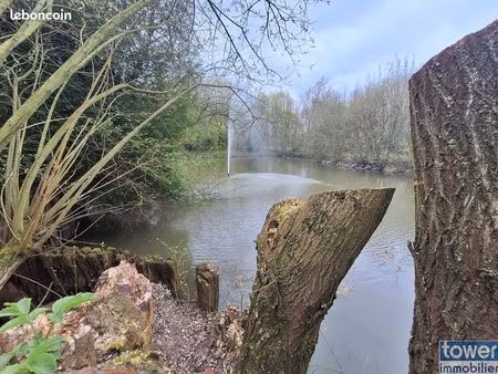 terrain 18500 m² gonnehem