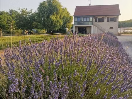 vente maison familiale