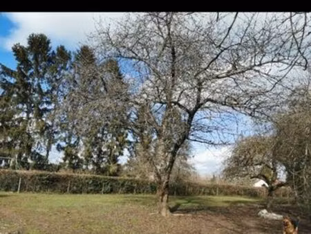 terrain eau électricité