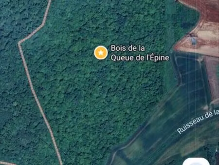 foret / bois 18 80 ha