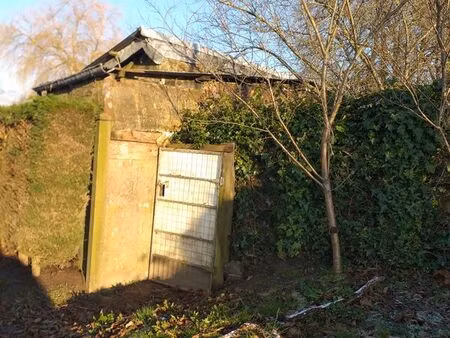 jardin  verger  poulailler