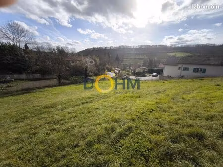 terrain 2031 m² polignac