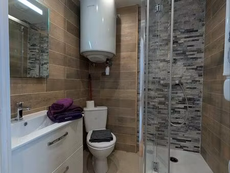 studio meublé rénové à louer - saint-etienne (benoît malon)