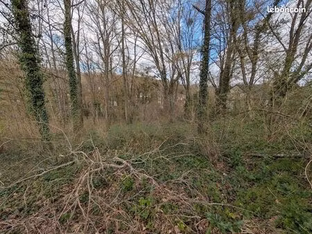 location terrain boisé