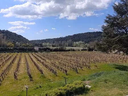 terrain constructible uchaux 2500m2