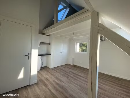 studio 1 pièce 21 m²