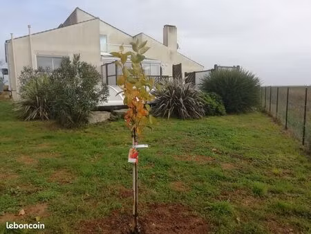 maison près des plages