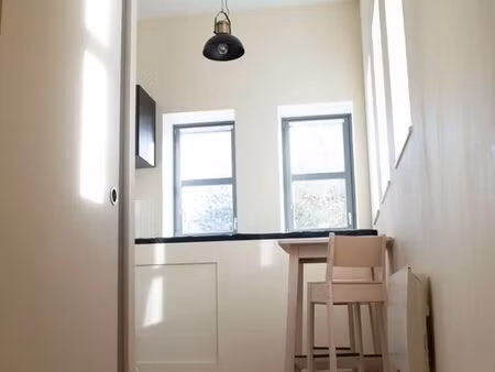 studio duplex meublé  très lumineux et calme – parking sécurisé – disponible immédiatement