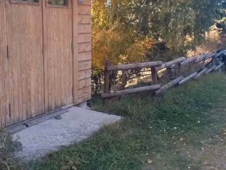 achète remise/local/garage pour stockage 7000 max