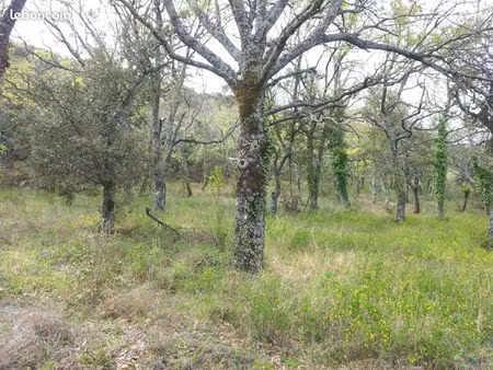 terrain non constructible