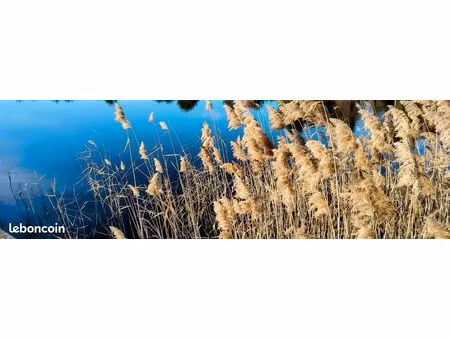 maison contemporaine calme & vue