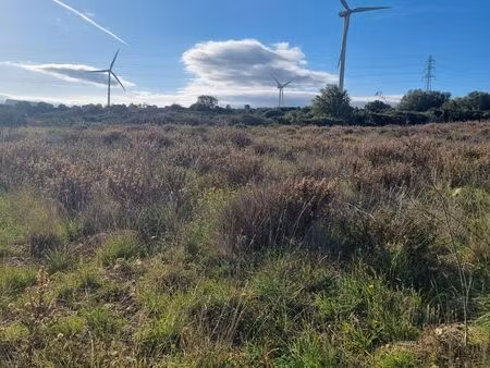 terrain 10000m2 baixas