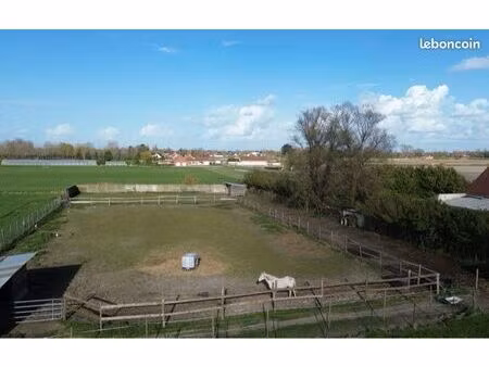 maison 6 chambres avec pâture