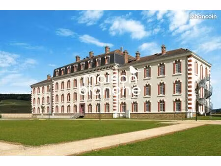 duplex 1 pièce 31 m²