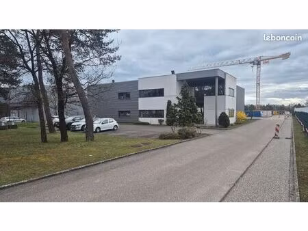 bâtiment individuel à usage mixte - bureaux - activité - stockage - 918 m² au cœur de la z