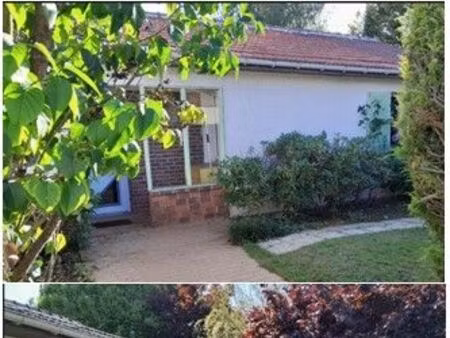 maison individuel - immobilier