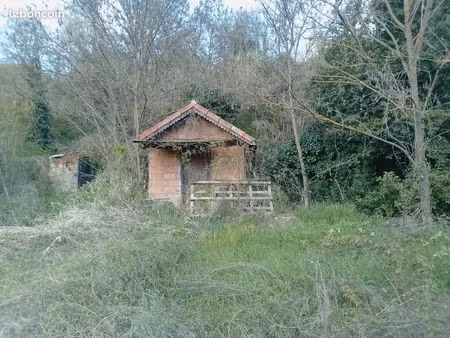 terrain pour faire un jardin