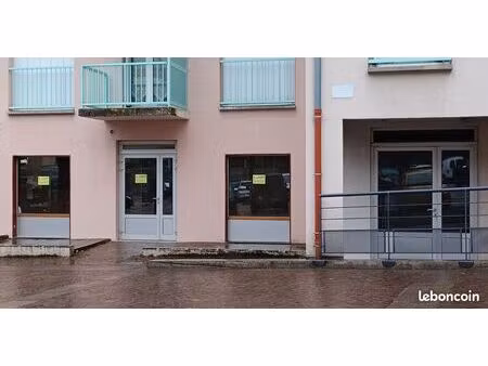 local d'activité (murs) 110m2