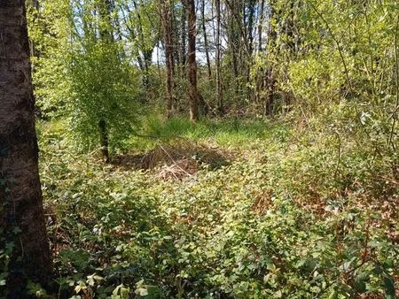 ? terrain de loisirs aménagé – 3 000 m² – secteur les sables-d’olonne / la roche-sur-yon ?