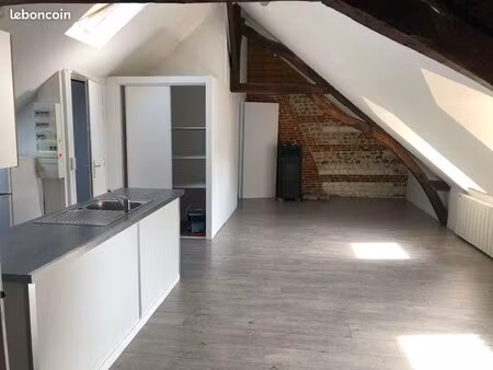 appartement sous combles  très lumineux en centre ville