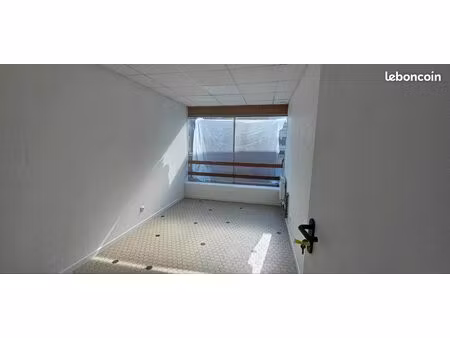 locaux professionnels