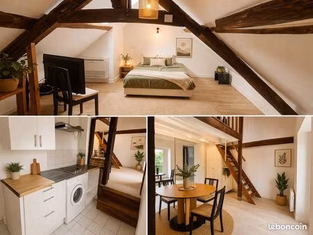 mormant (77) — grand t1 en duplex/mezzanine de caractère — meublé — parking — 1h paris gar