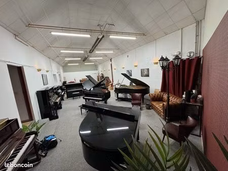 plusieurs locaux de stockage + local pro/commercial 180m2