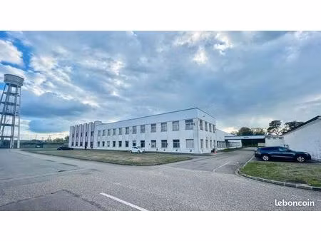 local d'activité 1 000 m²