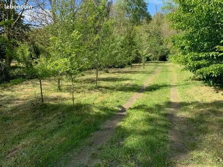 fontainebleau 8kms jolie maisonnette