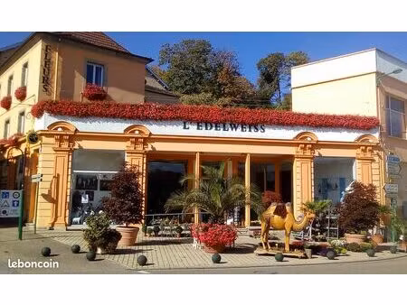 immeuble commerce +habitation