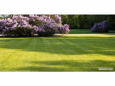 terrain 902 m² fabas