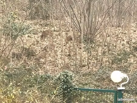 maison 8 pièces 220m2 sur 624m2