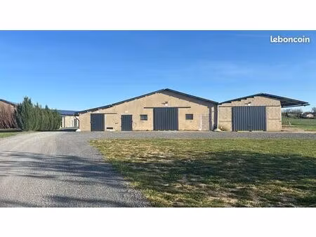 dépôt professionnel  hangar de stockage