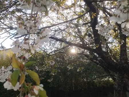 villa balnéaire à 20 minutes des sables d'olonnes