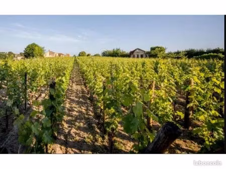 terrain 48 012 m² saint sulpice de faleyrens