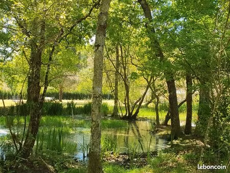 propriété: 2 maisons sur près de 1 hectare entre forêt et océan
