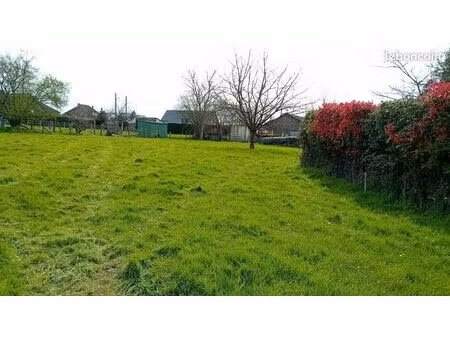 terrain constructible viabilisé