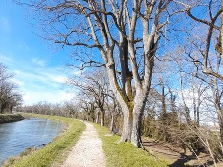 besoin de maison calme