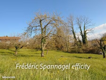 terrain 1 430 m² bonne