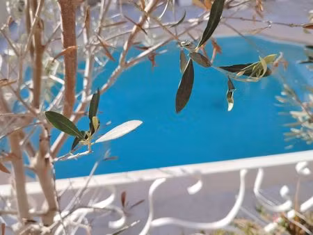 maison 7 pièces 192 m2