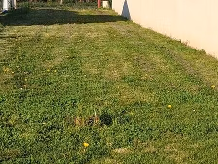 vente terrain fleuré 86340