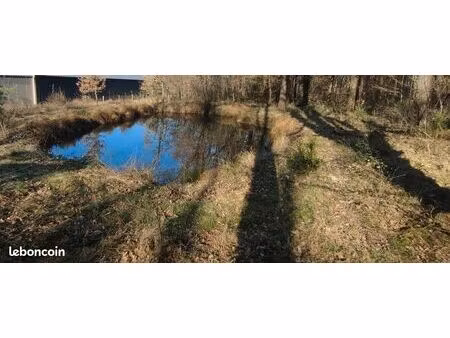 terrain de loisirs avec misonnette